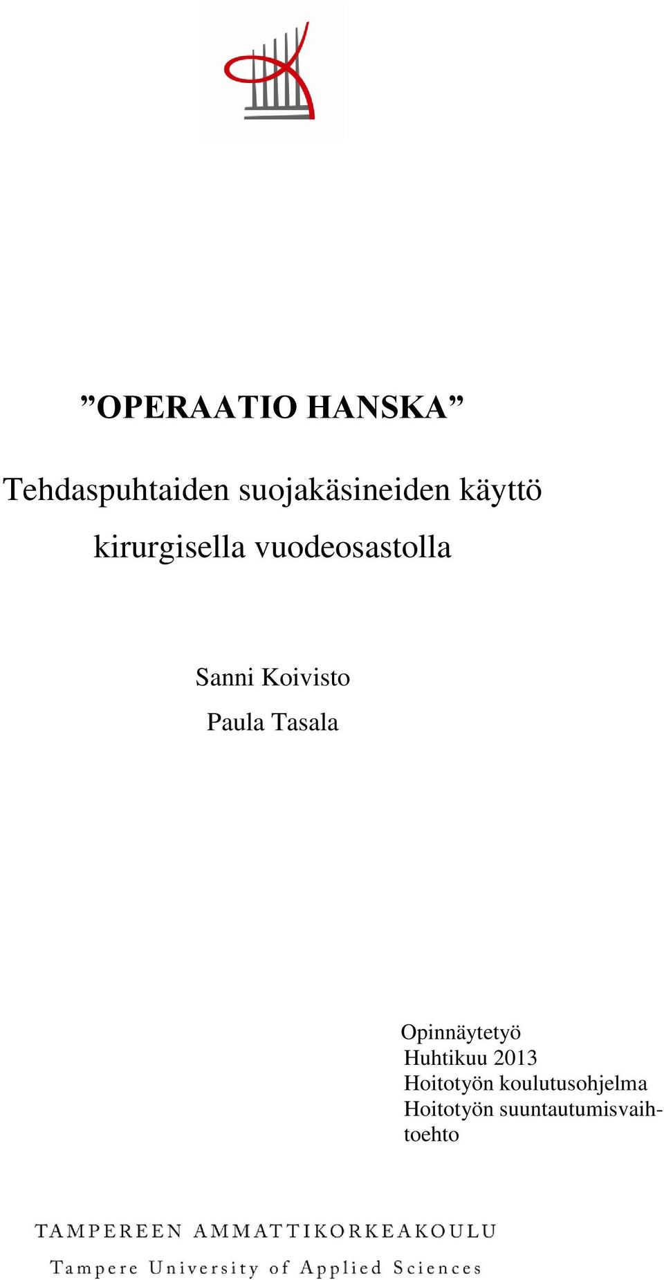 Paula Tasala Opinnäytetyö Huhtikuu 2013 Hoitotyön