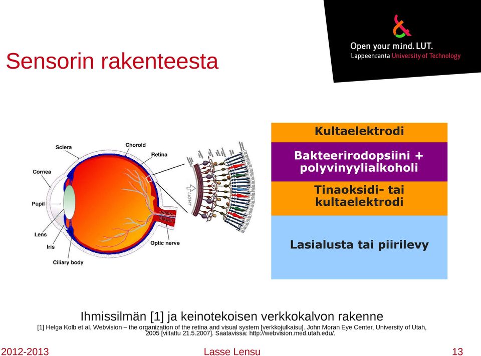 Helga Kolb et al. Webvision the organization of the retina and visual system [verkkojulkaisu].