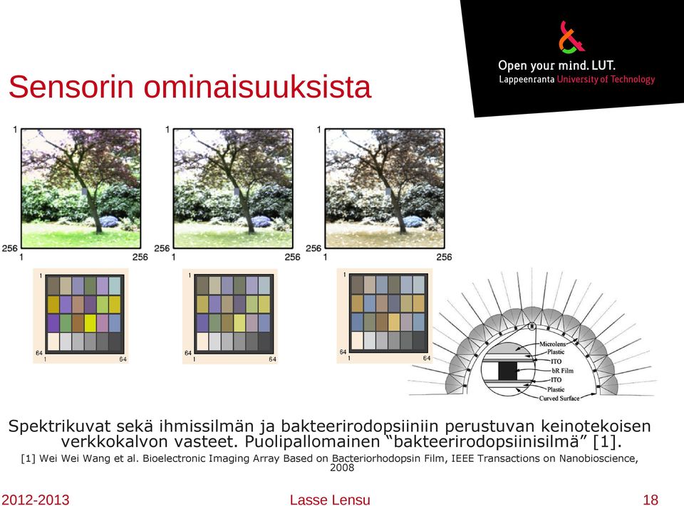 Puolipallomainen bakteerirodopsiinisilmä [1]. [1] Wei Wei Wang et al.