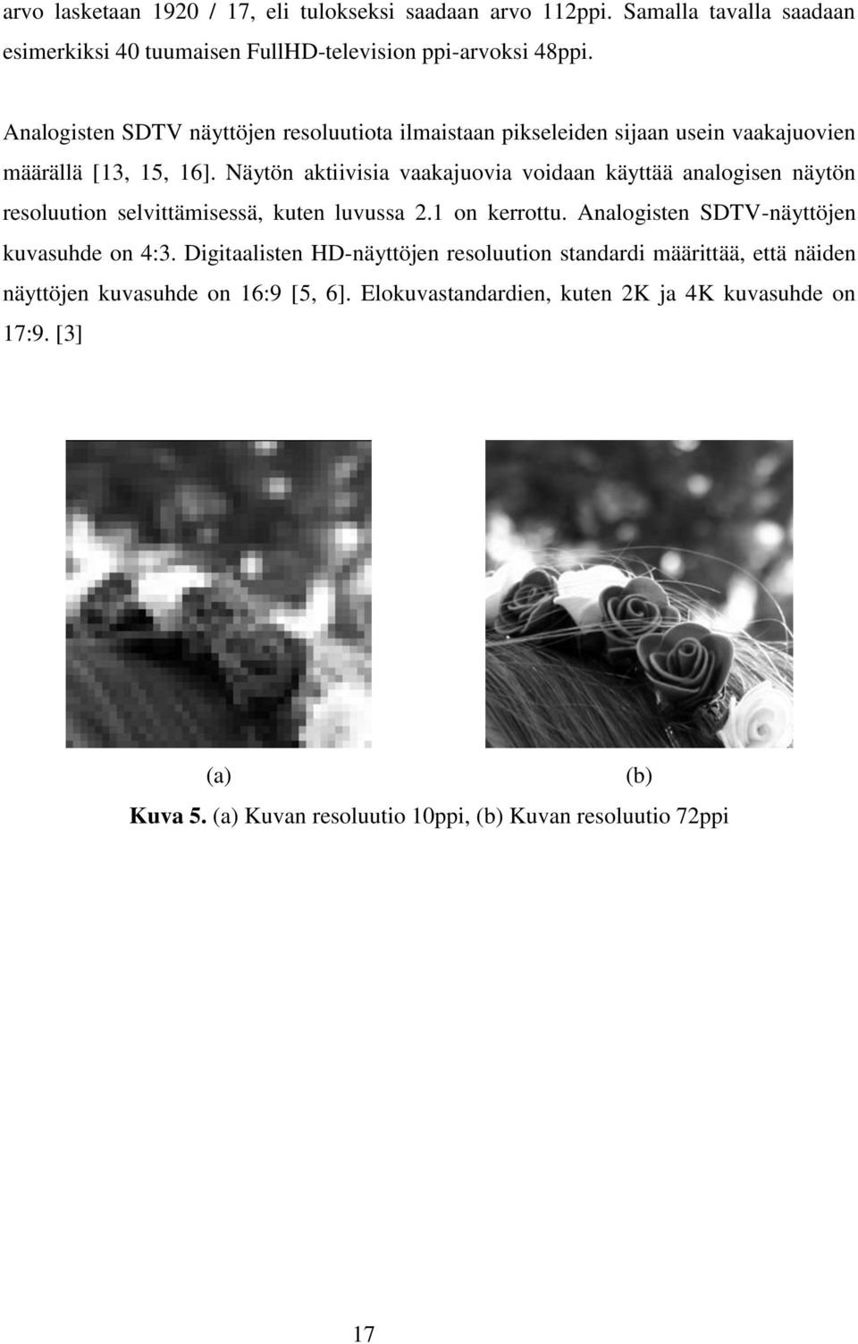 Näytön aktiivisia vaakajuovia voidaan käyttää analogisen näytön resoluution selvittämisessä, kuten luvussa 2.1 on kerrottu.