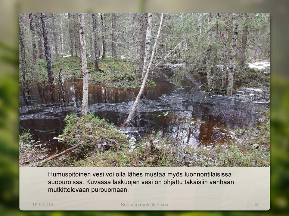 Kuvassa laskuojan vesi on ohjattu takaisiin