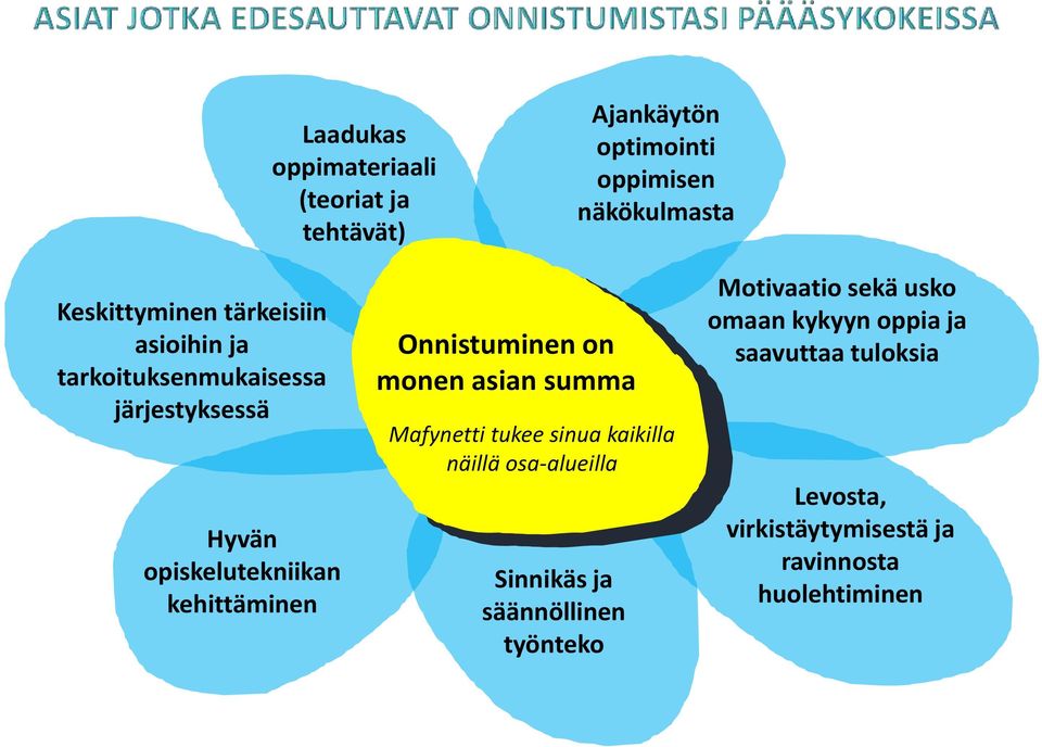 Onnistuminen on monen asian summa Mafynetti tukee sinua kaikilla näillä osa-alueilla Sinnikäs ja säännöllinen