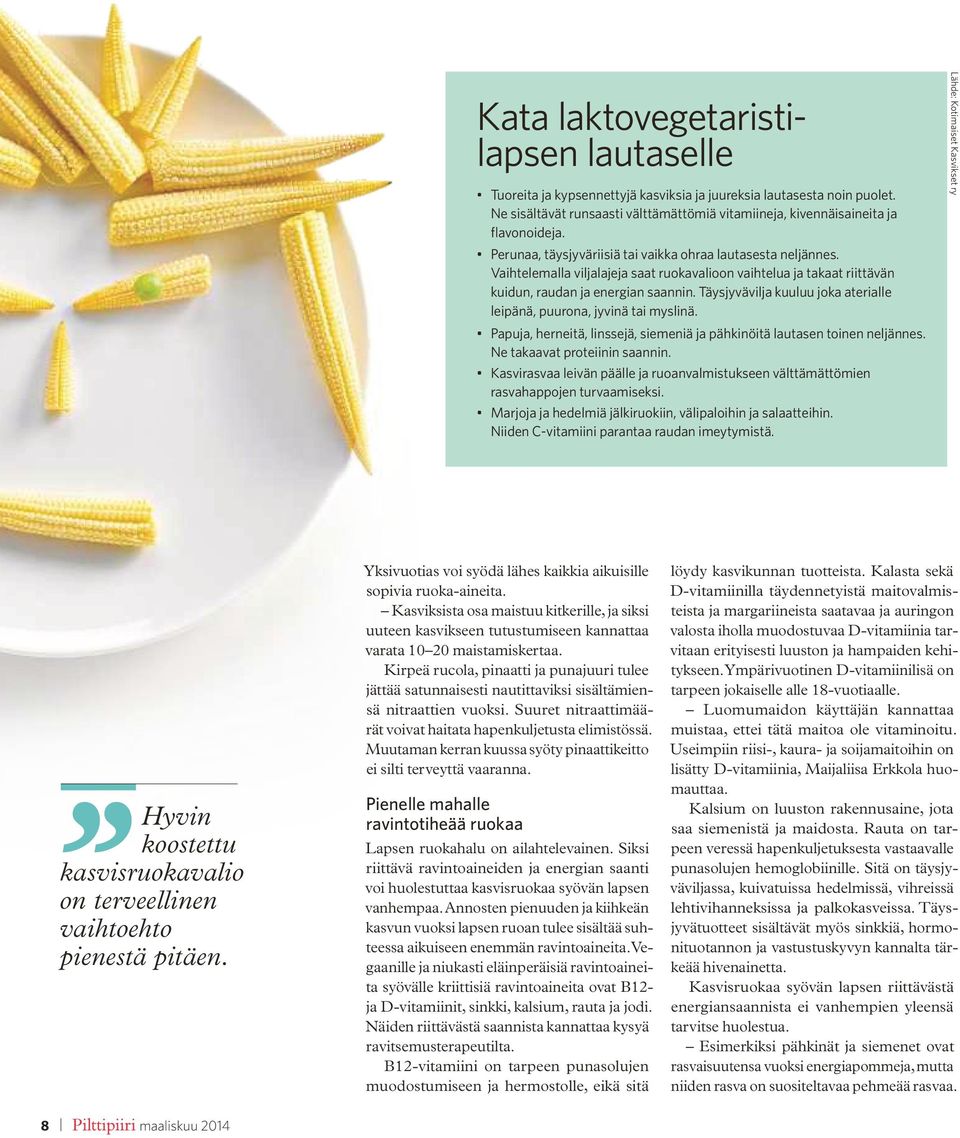 Täysjyvävilja kuuluu joka aterialle leipänä, puurona, jyvinä tai myslinä. Papuja, herneitä, linssejä, siemeniä ja pähkinöitä lautasen toinen neljännes. Ne takaavat proteiinin saannin.