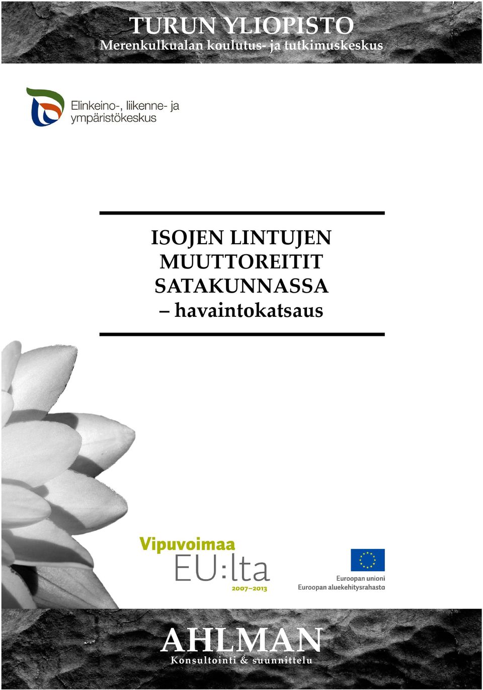 LINTUJEN MUUTTOREITIT SATAKUNNASSA