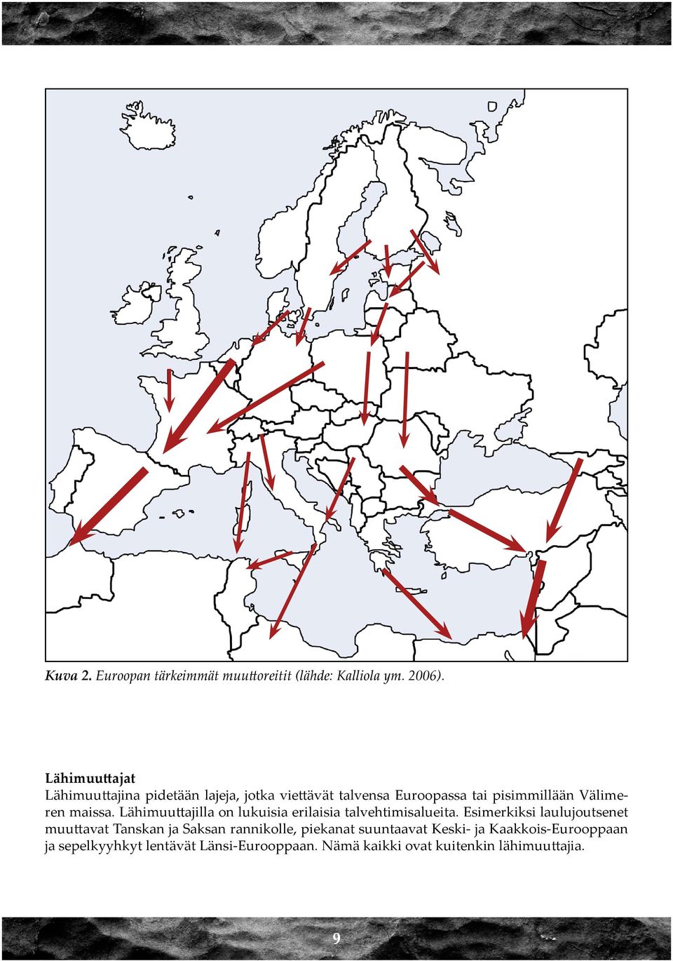 maissa. Lähimuuttajilla on lukuisia erilaisia talvehtimisalueita.