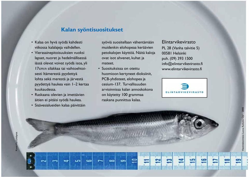 haukea vain 1 2 kertaa kuukaudessa. Raskaana olevien ja imettävien äitien ei pitäisi syödä haukea.