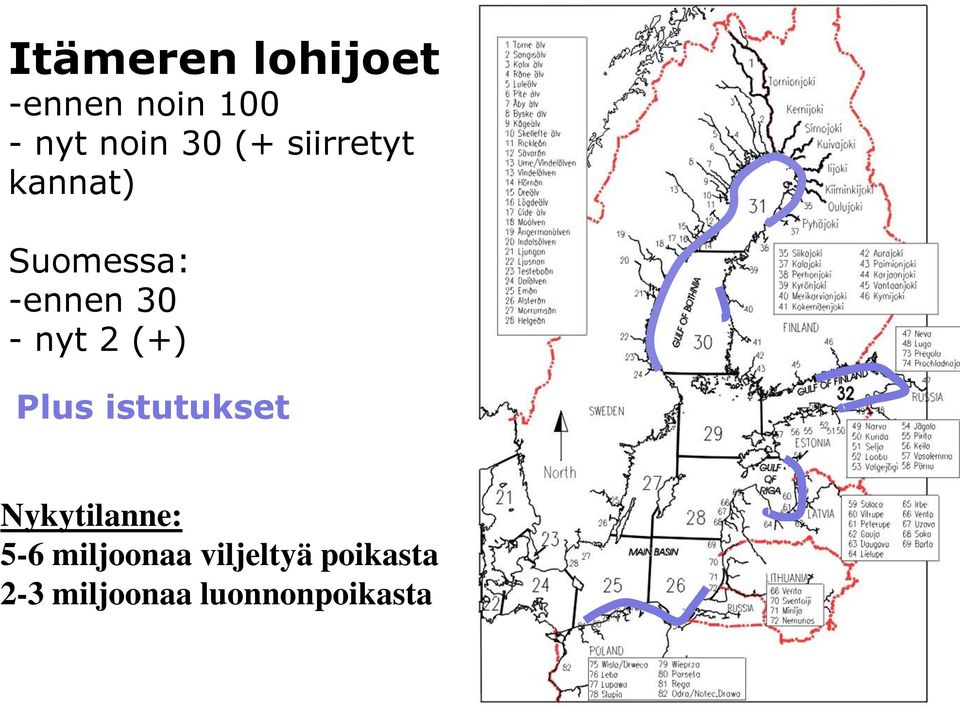 (+) Plus istutukset Nykytilanne: 5-6 miljoonaa