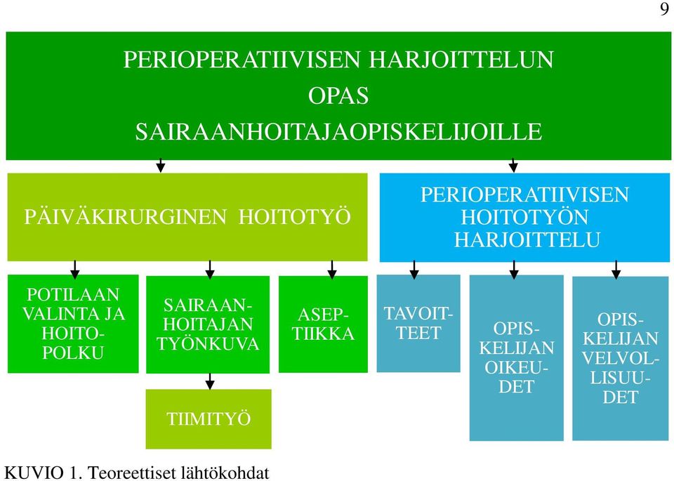 VALINTA JA HOITO- POLKU SAIRAAN- HOITAJAN TYÖNKUVA TIIMITYÖ ASEP- TIIKKA