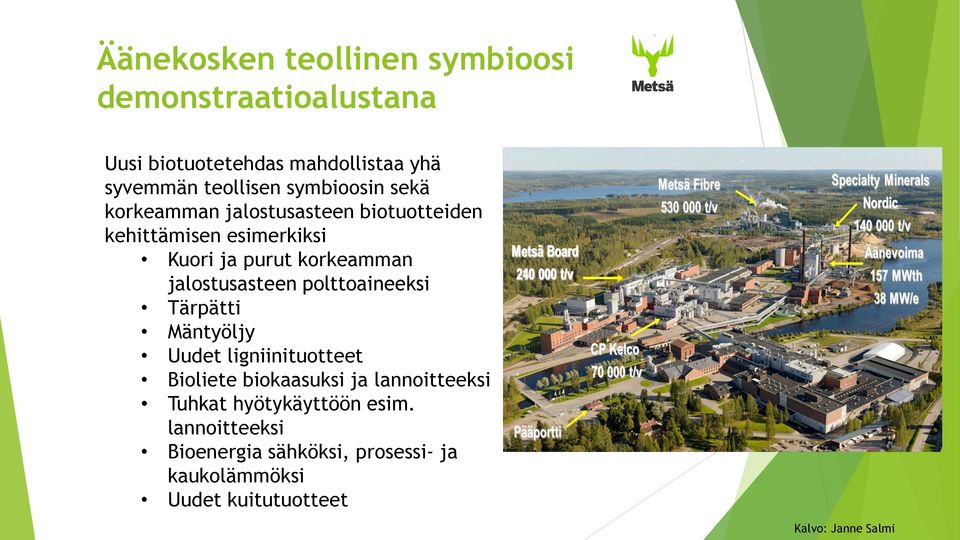 jalostusasteen polttoaineeksi Tärpätti Mäntyöljy Uudet ligniinituotteet Bioliete biokaasuksi ja lannoitteeksi