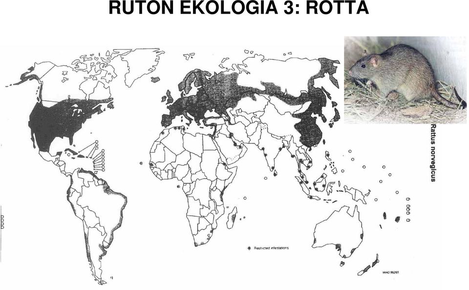 3: ROTTA