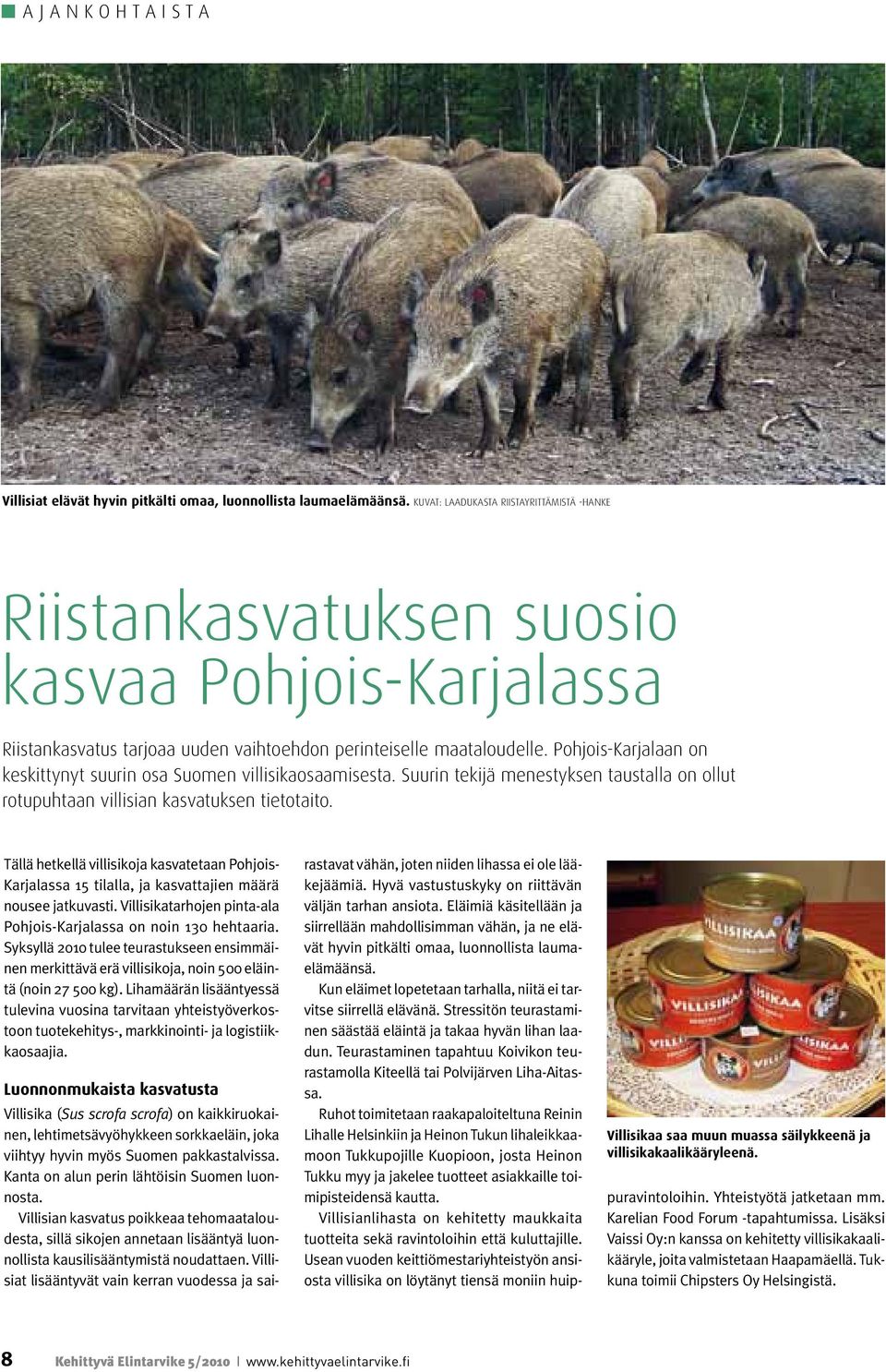 Pohjois-Karjalaan on keskittynyt suurin osa Suomen villisikaosaamisesta. Suurin tekijä menestyksen taustalla on ollut rotupuhtaan villisian kasvatuksen tietotaito.