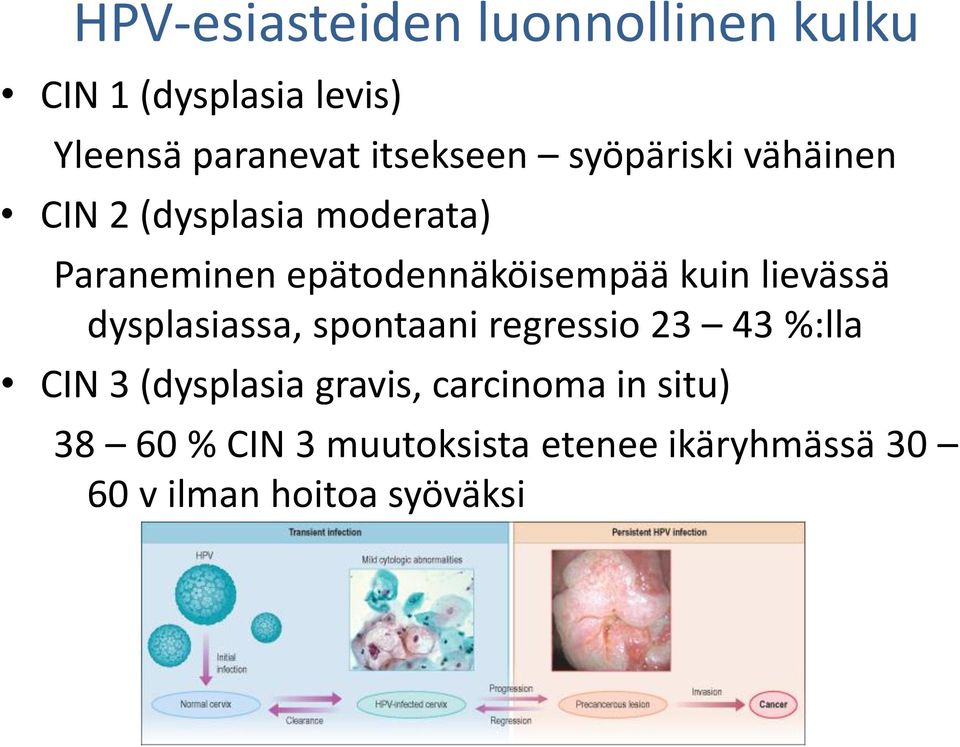 epätodennäköisempää kuin lievässä dysplasiassa, spontaani regressio 23 43 %:lla CIN 3