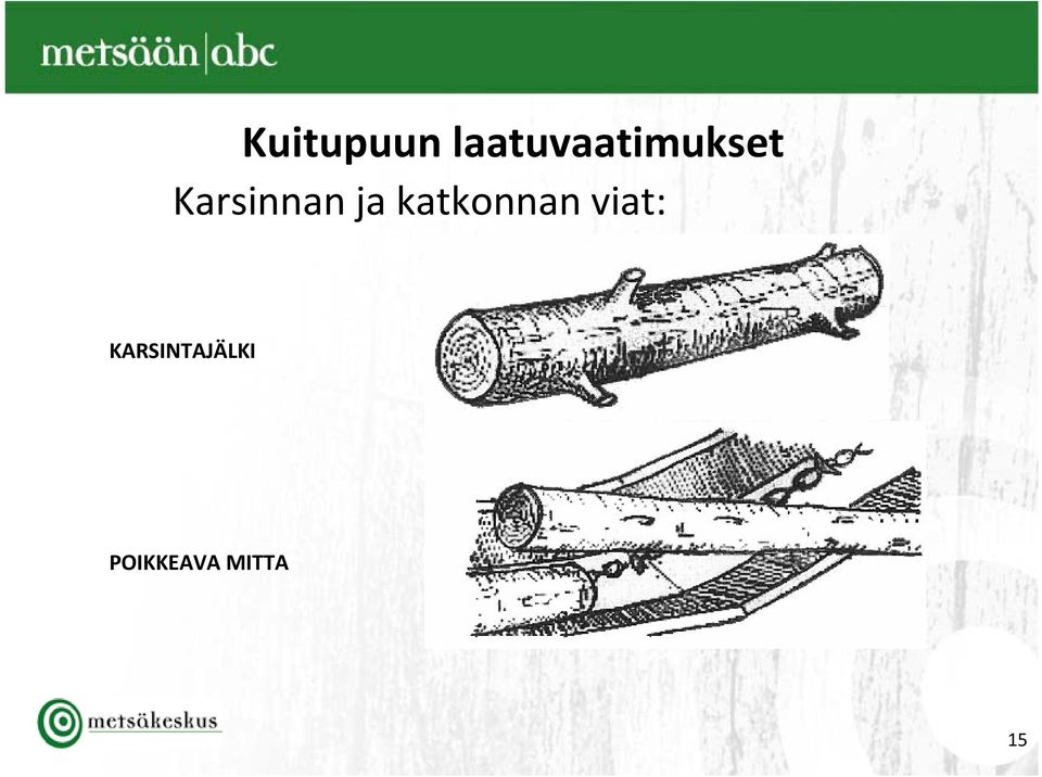 Karsinnan ja