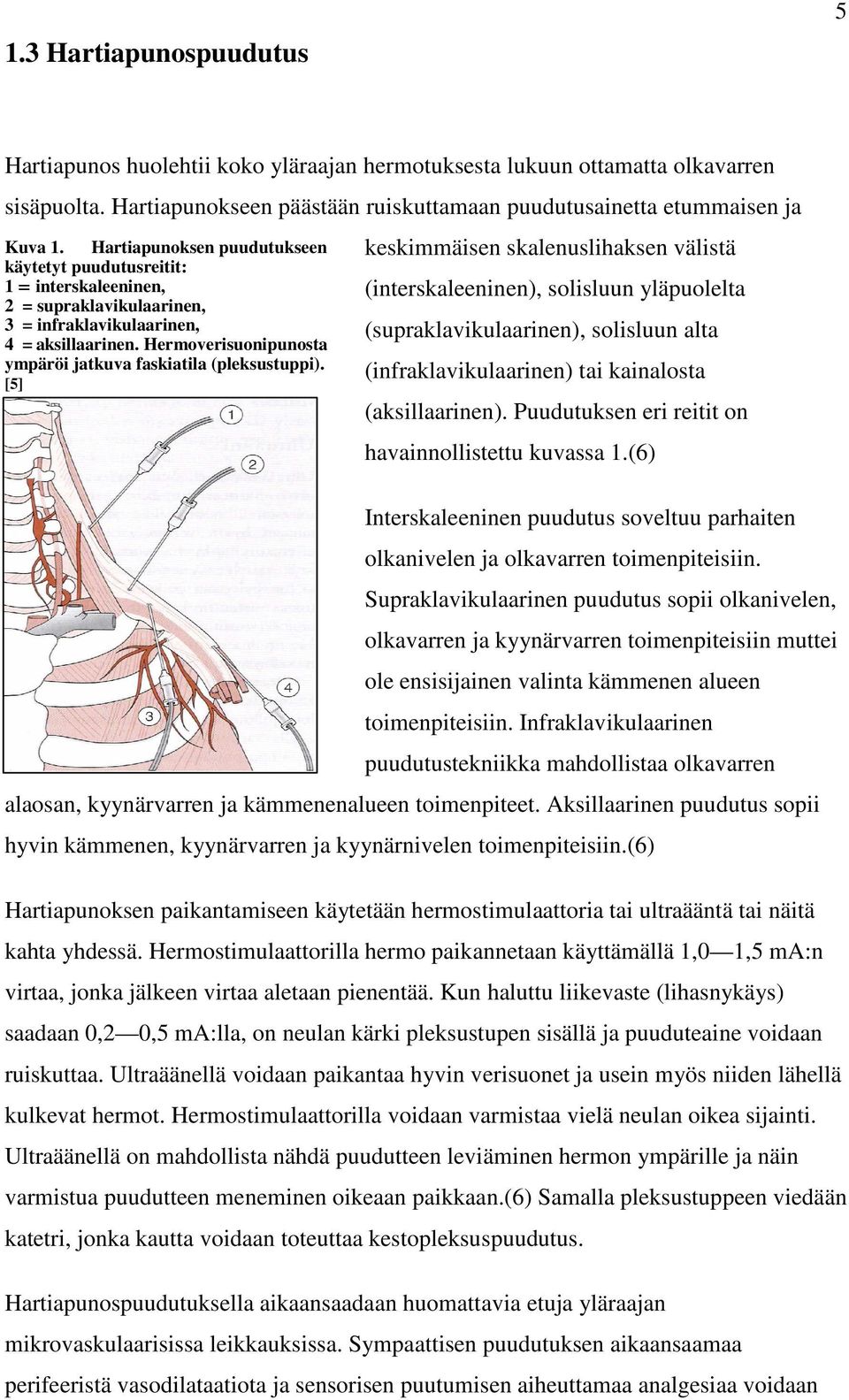 Hermoverisuonipunosta ympäröi jatkuva faskiatila (pleksustuppi).