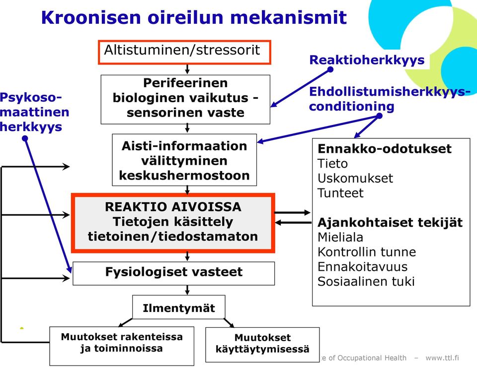 tietoinen/tiedostamaton Fysiologiset vasteet Ilmentymät Ehdollistumisherkkyysconditioning Ennakko-odotukset Tieto Uskomukset