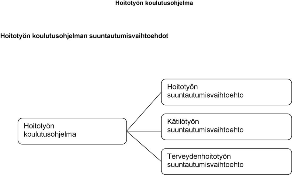 suuntautumisvaihtoehto Hoitotyön