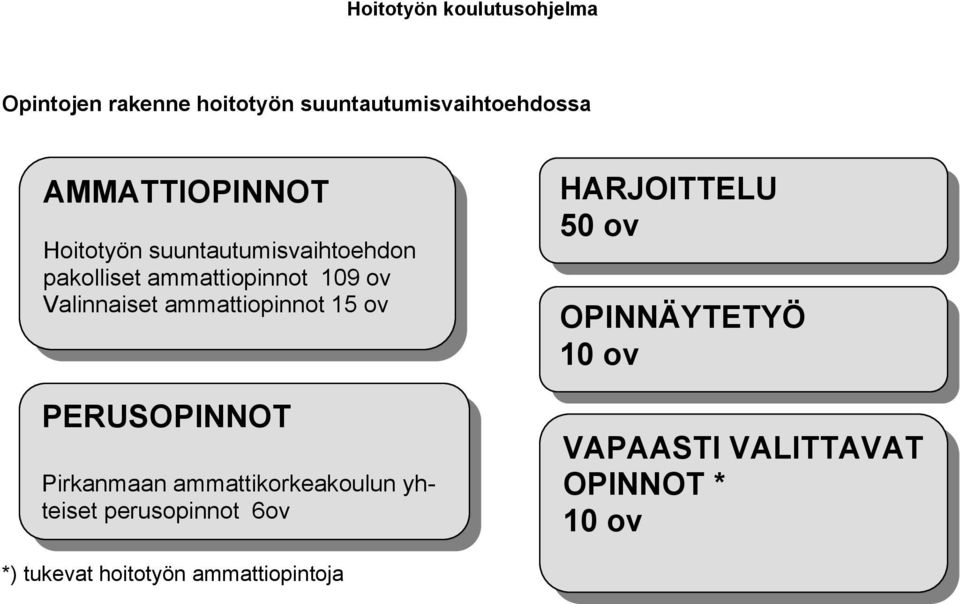ov PERUSOPINNOT Pirkanmaan ammattikorkeakoulun yhteiset perusopinnot 6ov HARJOITTELU