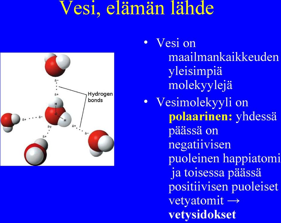 yhdessä päässä on negatiivisen puoleinen happiatomi