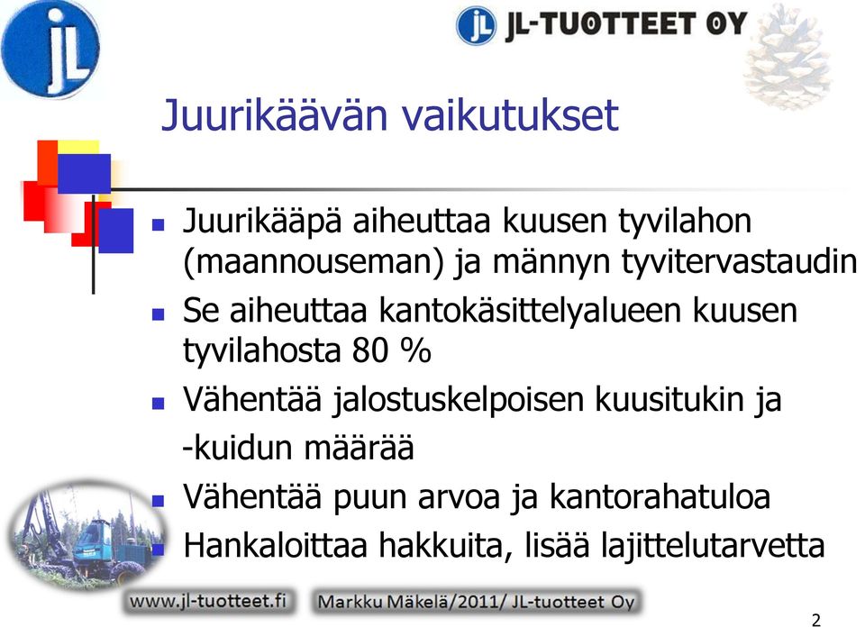 kuusen tyvilahosta 80 % Vähentää jalostuskelpoisen kuusitukin ja -kuidun