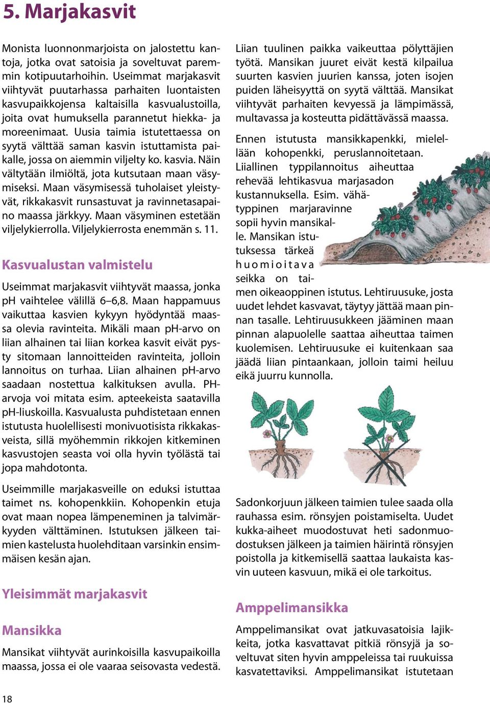 Uusia taimia istutettaessa on syytä välttää saman kasvin istuttamista paikalle, jossa on aiemmin viljelty ko. kasvia. Näin vältytään ilmiöltä, jota kutsutaan maan väsymiseksi.