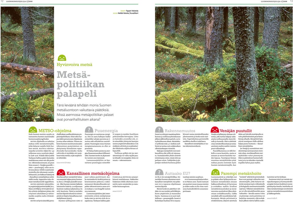 metso-ohjelmalla on tarkoitus maksaa niille metsänomistajille, jotka haluavat suojella Etelä-Suomen metsiä.