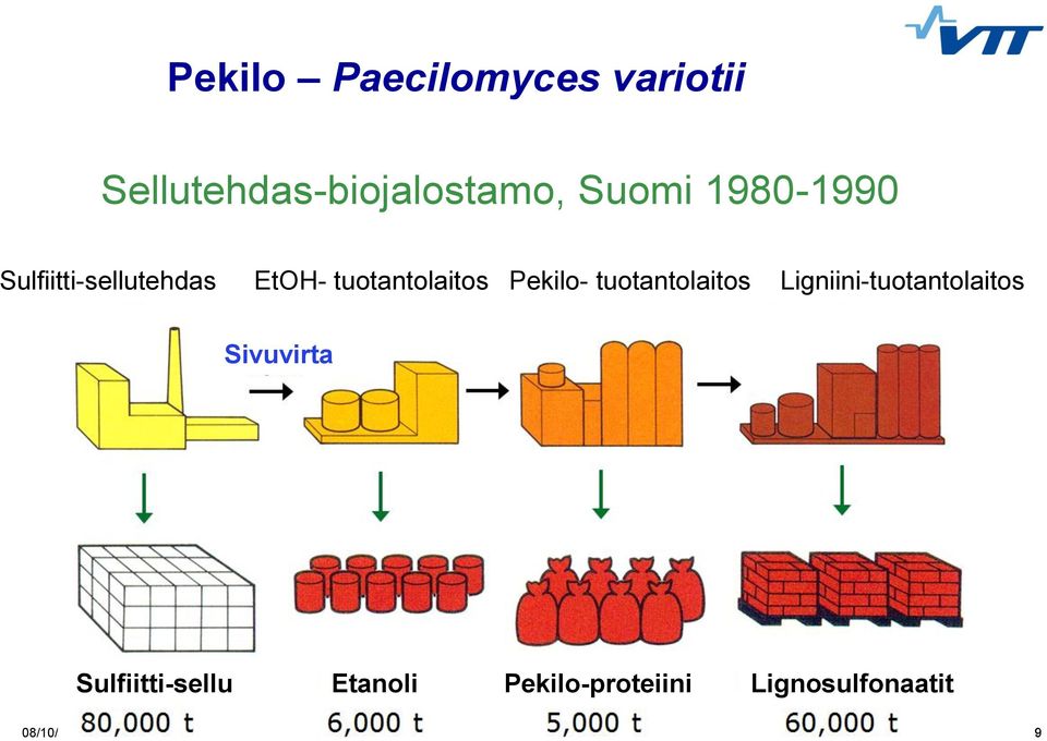 tuotantolaitos Ligniini-tuotantolaitos Sivuvirta