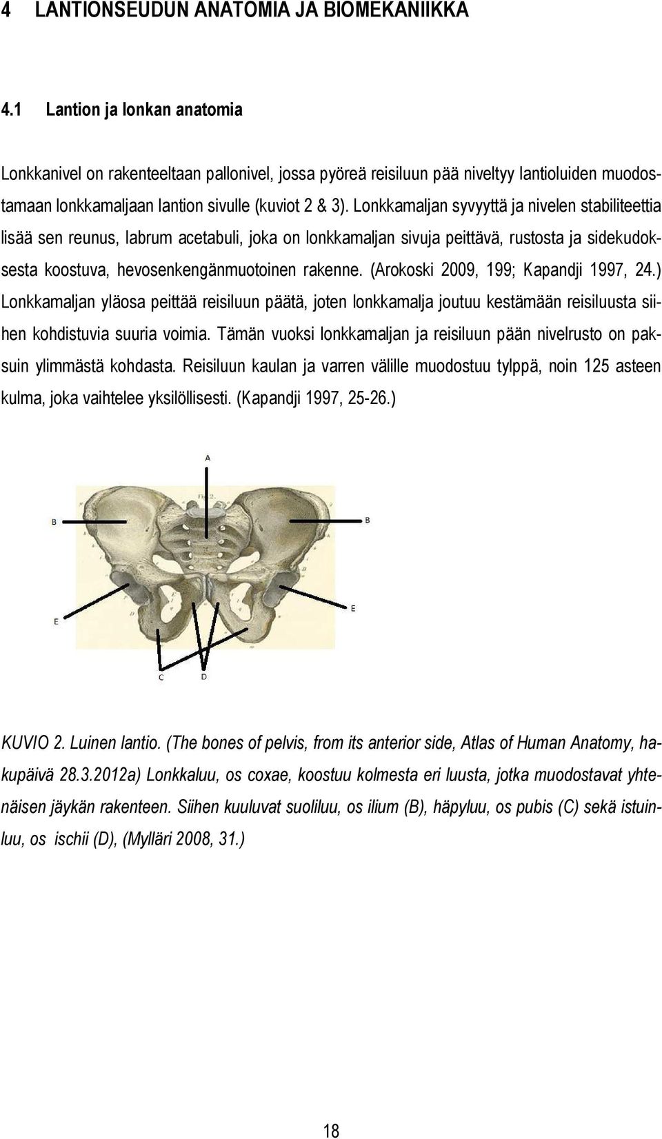 Lonkkamaljan syvyyttä ja nivelen stabiliteettia lisää sen reunus, labrum acetabuli, joka on lonkkamaljan sivuja peittävä, rustosta ja sidekudoksesta koostuva, hevosenkengänmuotoinen rakenne.