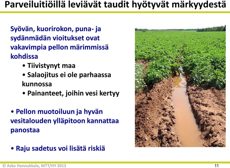 Salaojitus ei ole parhaassa kunnossa Painanteet, joihin vesi kertyy Pellon