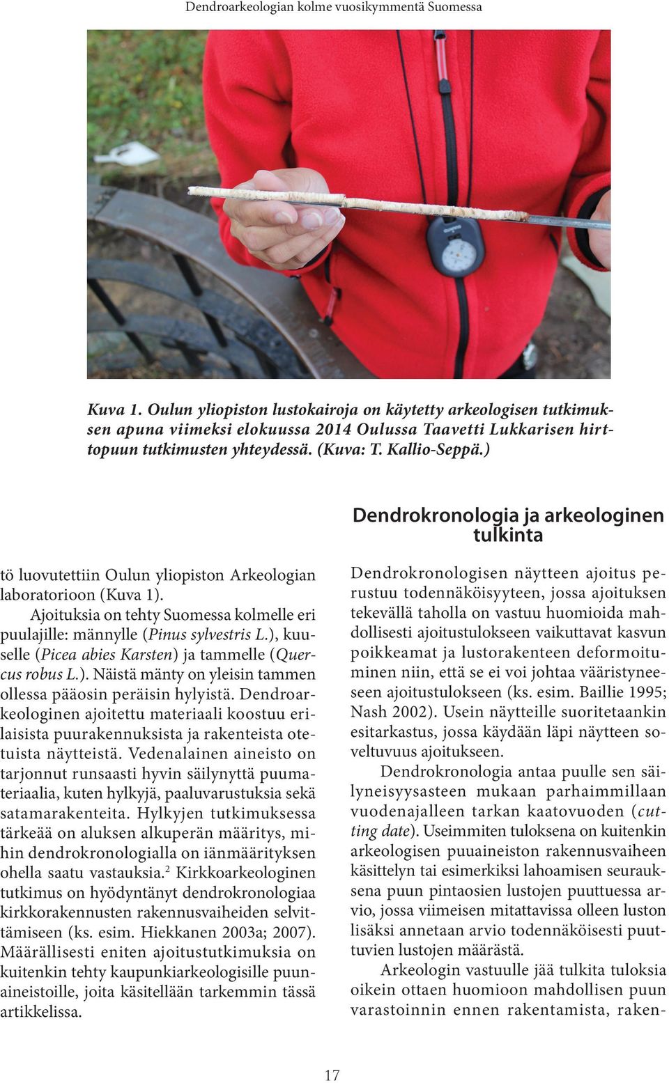 ) Dendrokronologia ja arkeologinen tulkinta tö luovutettiin Oulun yliopiston Arkeologian laboratorioon (Kuva 1). Ajoituksia on tehty Suomessa kolmelle eri puulajille: männylle (Pinus sylvestris L.