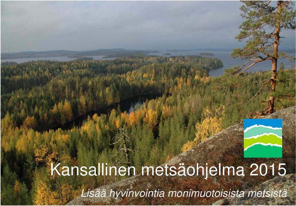 Lisää hyvinvointia