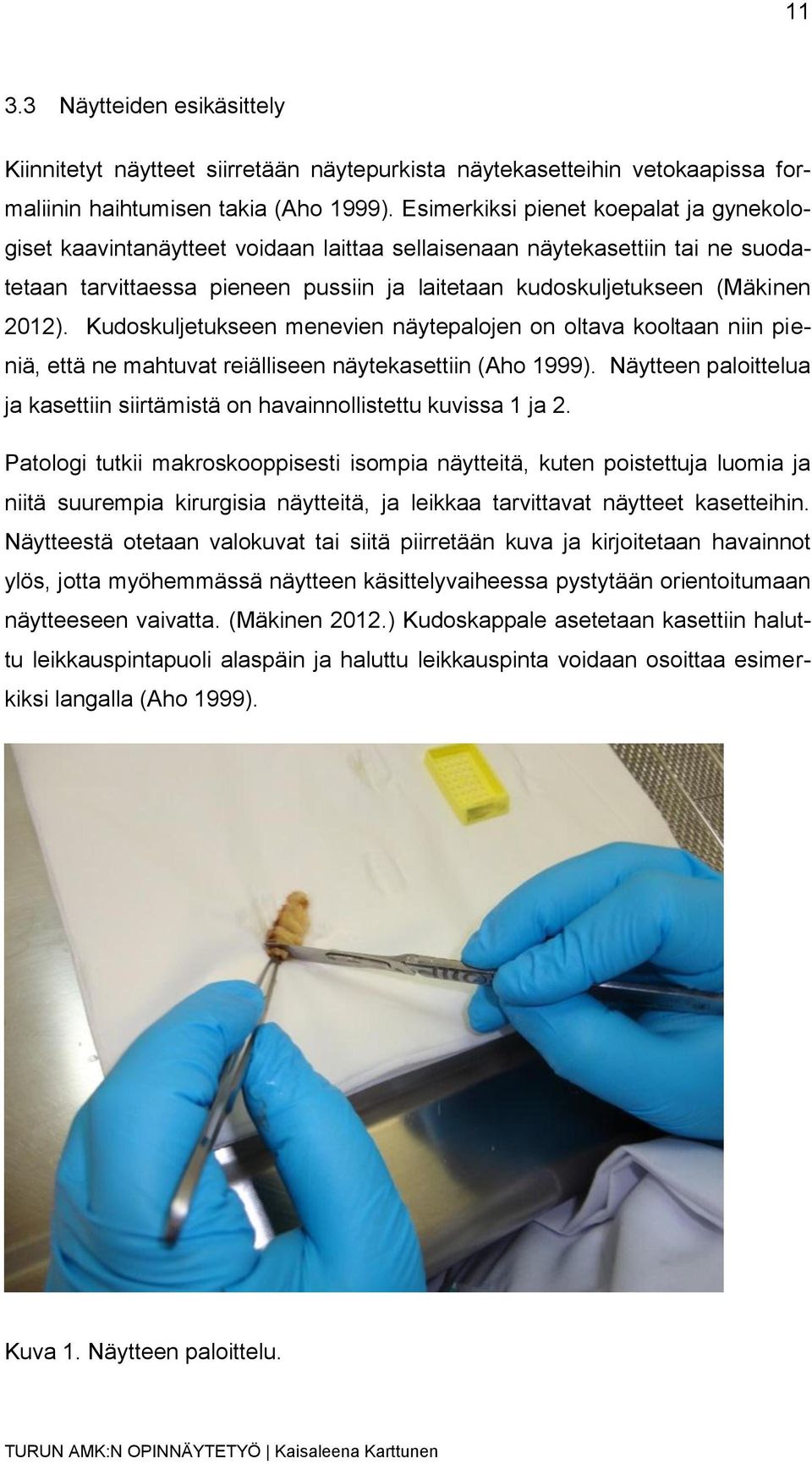 Kudoskuljetukseen menevien näytepalojen on oltava kooltaan niin pieniä, että ne mahtuvat reiälliseen näytekasettiin (Aho 1999).