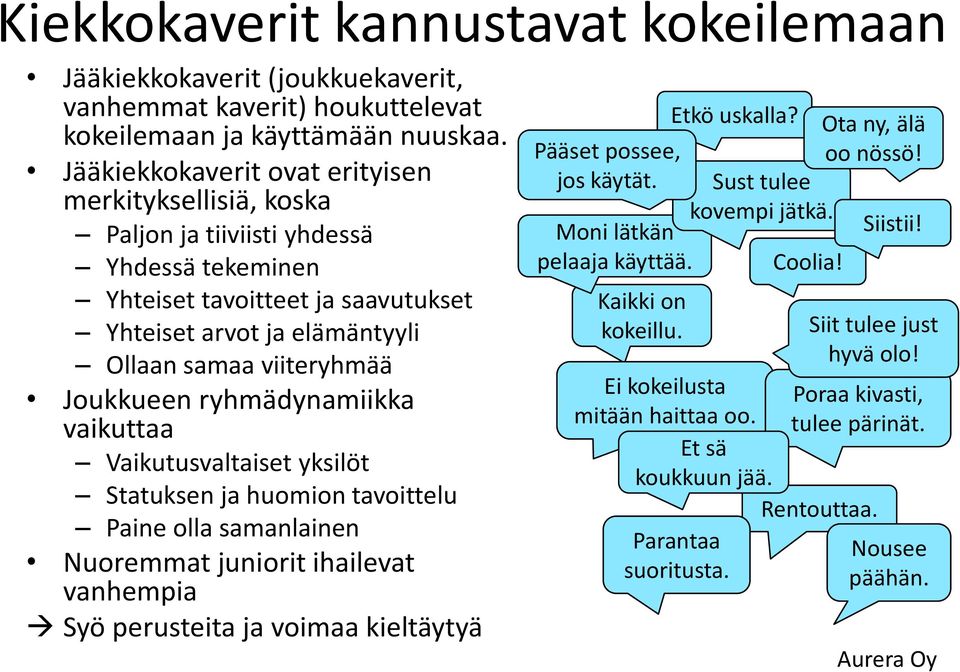 Joukkueen ryhmädynamiikka vaikuttaa Vaikutusvaltaiset yksilöt Statuksen ja huomion tavoittelu Paine olla samanlainen Nuoremmat juniorit ihailevat vanhempia Syö perusteita ja voimaa kieltäytyä Pääset