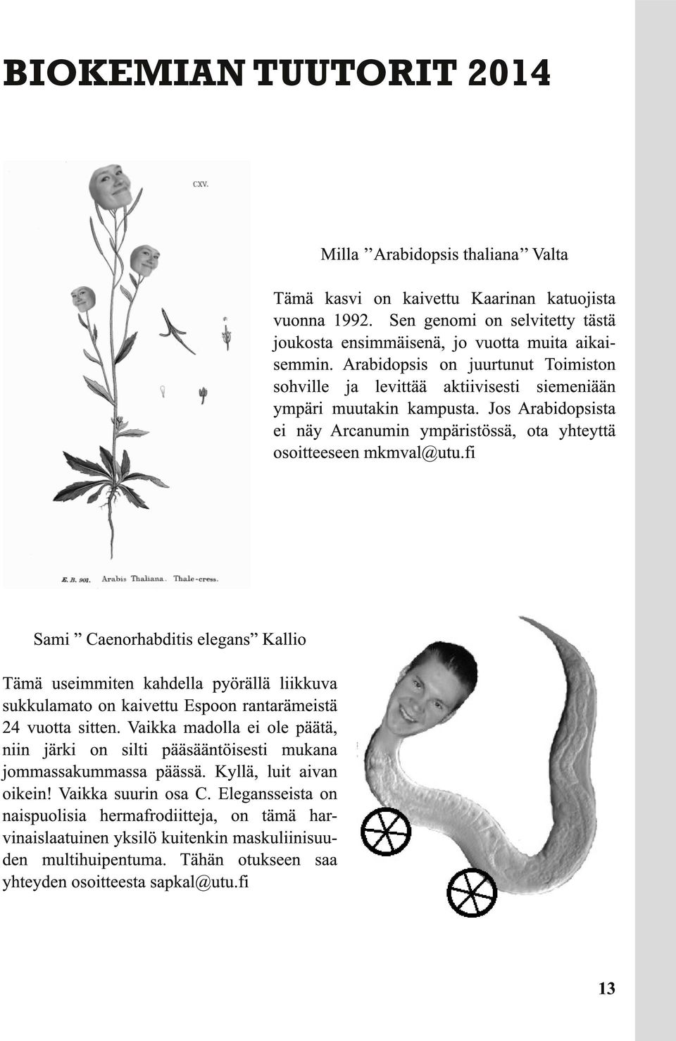 fi Sami Caenorhabditis elegans Kallio Tämä useimmiten kahdella pyörällä liikkuva sukkulamato on kaivettu Espoon rantarämeistä 24 vuotta sitten.