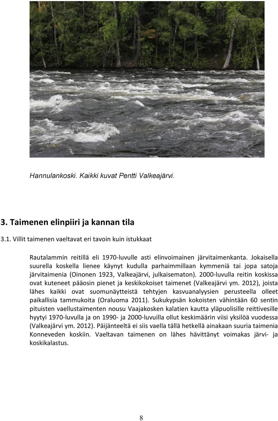 Jokaisella suurella koskella lienee käynyt kudulla parhaimmillaan kymmeniä tai jopa satoja järvitaimenia (Oinonen 1923, Valkeajärvi, julkaisematon).