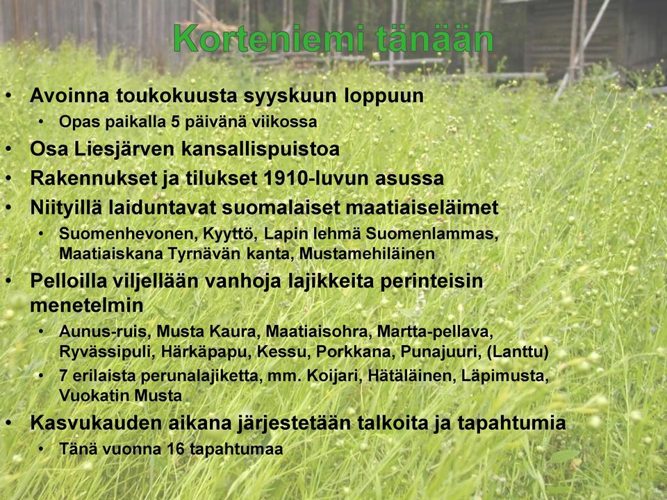 perinteisin menetelmin Aunus-ruis, Musta Kaura, Maatiaisohra, Martta-pellava, Ryvässipuli, Härkäpapu, Kessu, Porkkana, Punajuuri, (Lanttu) 7 erilaista perunalajiketta, mm.