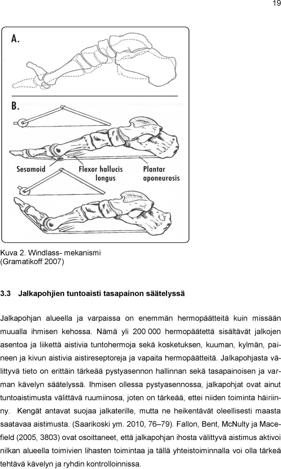 Jalkapohjasta välittyvä tieto on erittäin tärkeää pystyasennon hallinnan sekä tasapainoisen ja varman kävelyn säätelyssä.