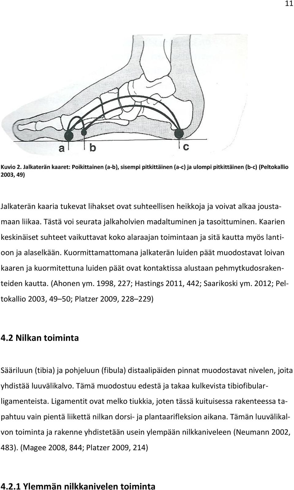 joustamaan liikaa. Tästä voi seurata jalkaholvien madaltuminen ja tasoittuminen. Kaarien keskinäiset suhteet vaikuttavat koko alaraajan toimintaan ja sitä kautta myös lantioon ja alaselkään.