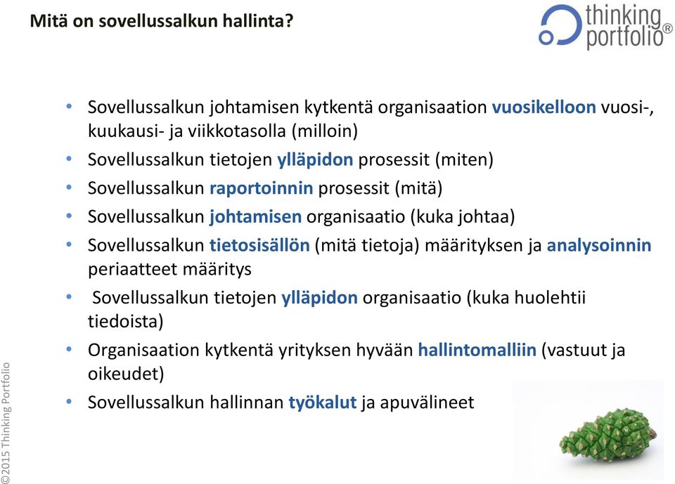 prosessit (miten) Sovellussalkun raportoinnin prosessit (mitä) Sovellussalkun johtamisen organisaatio (kuka johtaa) Sovellussalkun tietosisällön