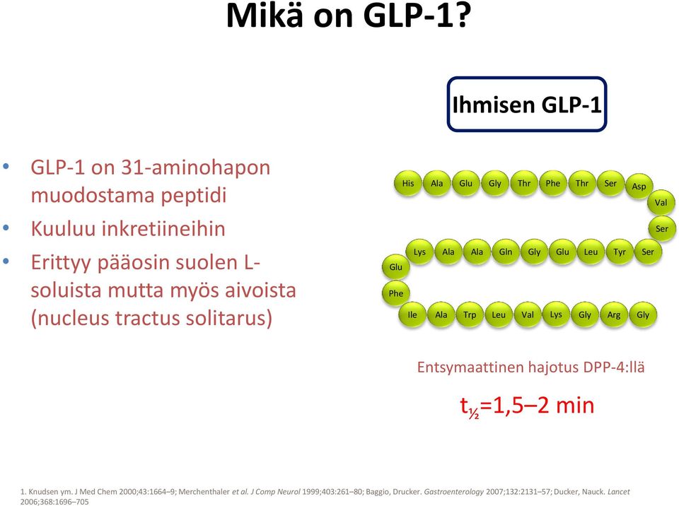 Ihmisen GLP-1 GLP-1 on 31-aminohapon muodostama peptidi Kuuluu inkretiineihin Erittyy pääosin suolen L- soluista mutta myös aivoista