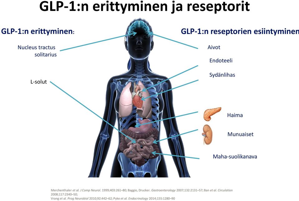 al. J Comp Neurol. 1999;403:261 80; Baggio, Drucker. Gastroenterology 2007;132:2131 57; Ban et al.