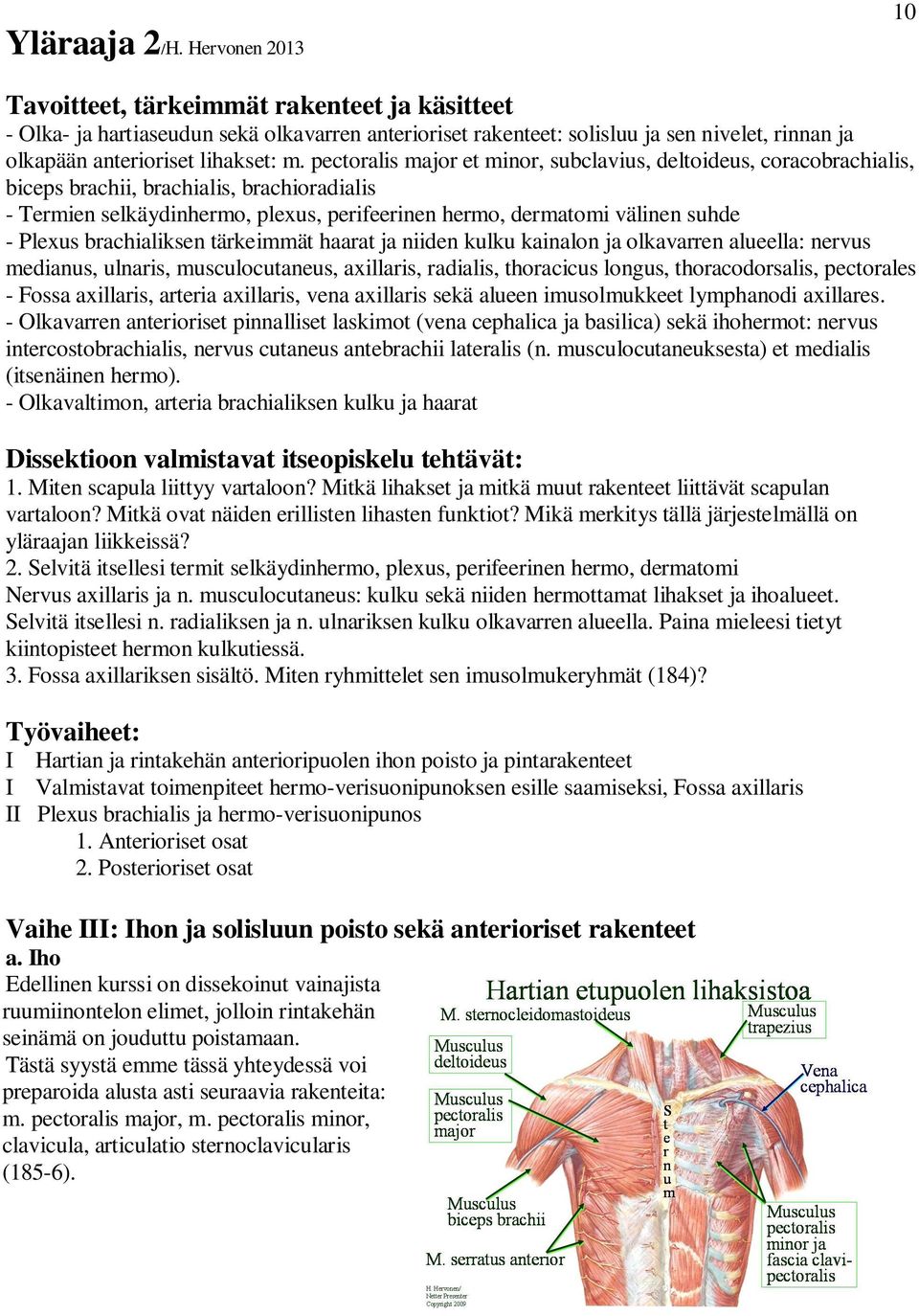 pectoralis major et minor, subclavius, deltoideus, coracobrachialis, biceps brachii, brachialis, brachioradialis - Termien selkäydinhermo, plexus, perifeerinen hermo, dermatomi välinen suhde - Plexus