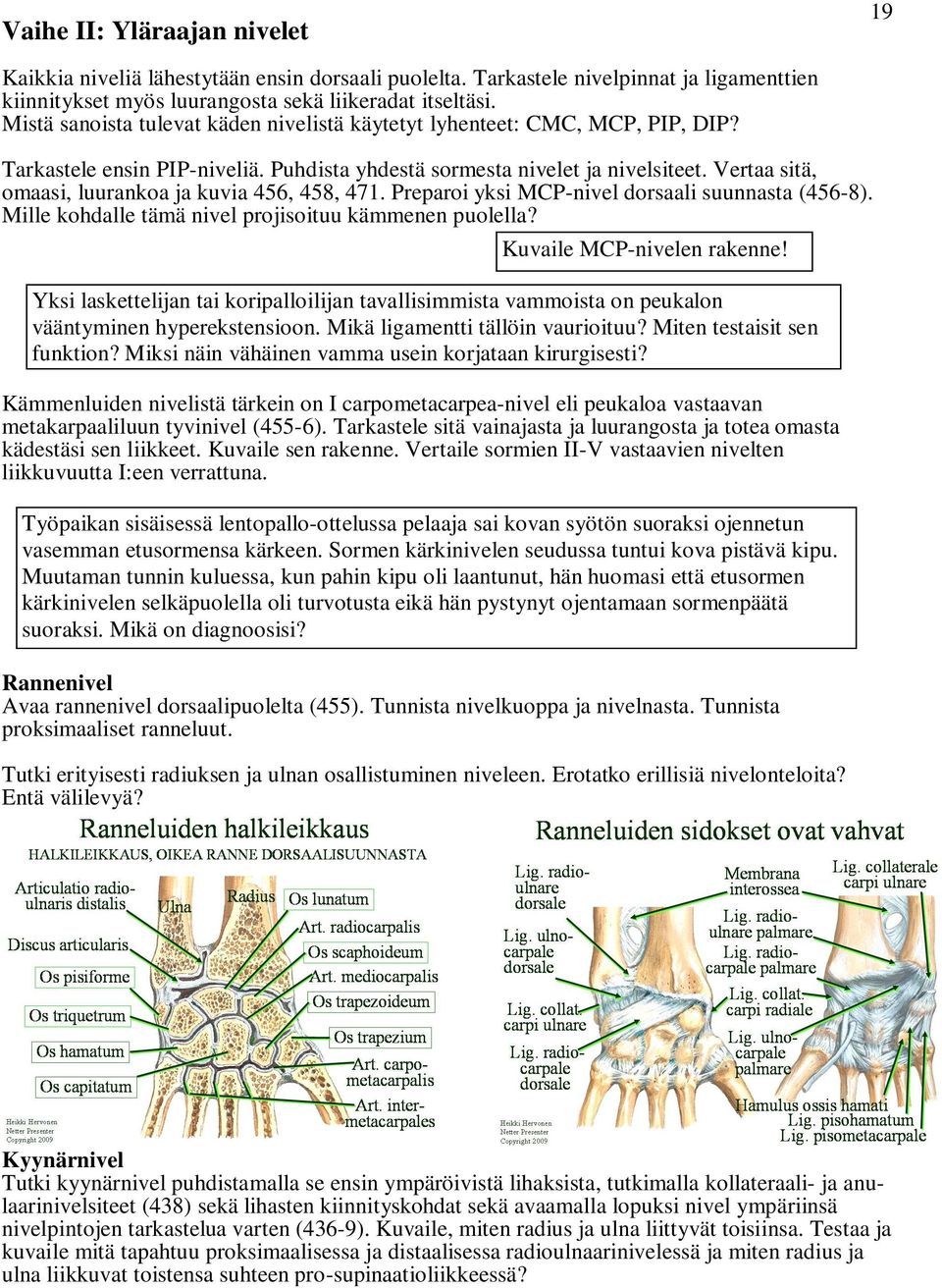 Vertaa sitä, omaasi, luurankoa ja kuvia 456, 458, 471. Preparoi yksi MCP-nivel dorsaali suunnasta (456-8). Mille kohdalle tämä nivel projisoituu kämmenen puolella? Kuvaile MCP-nivelen rakenne!