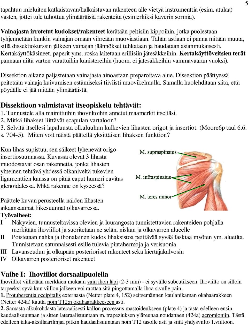 Tähän astiaan ei panna mitään muuta, sillä dissektiokurssin jälkeen vainajan jäännökset tuhkataan ja haudataan asianmukaisesti. Kertakäyttökäsineet, paperit yms.