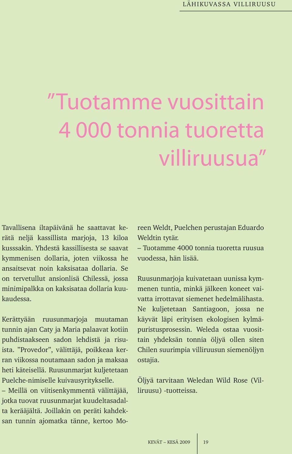 Se on tervetullut ansionlisä Chilessä, jossa minimipalkka on kaksisataa dollaria kuukaudessa.