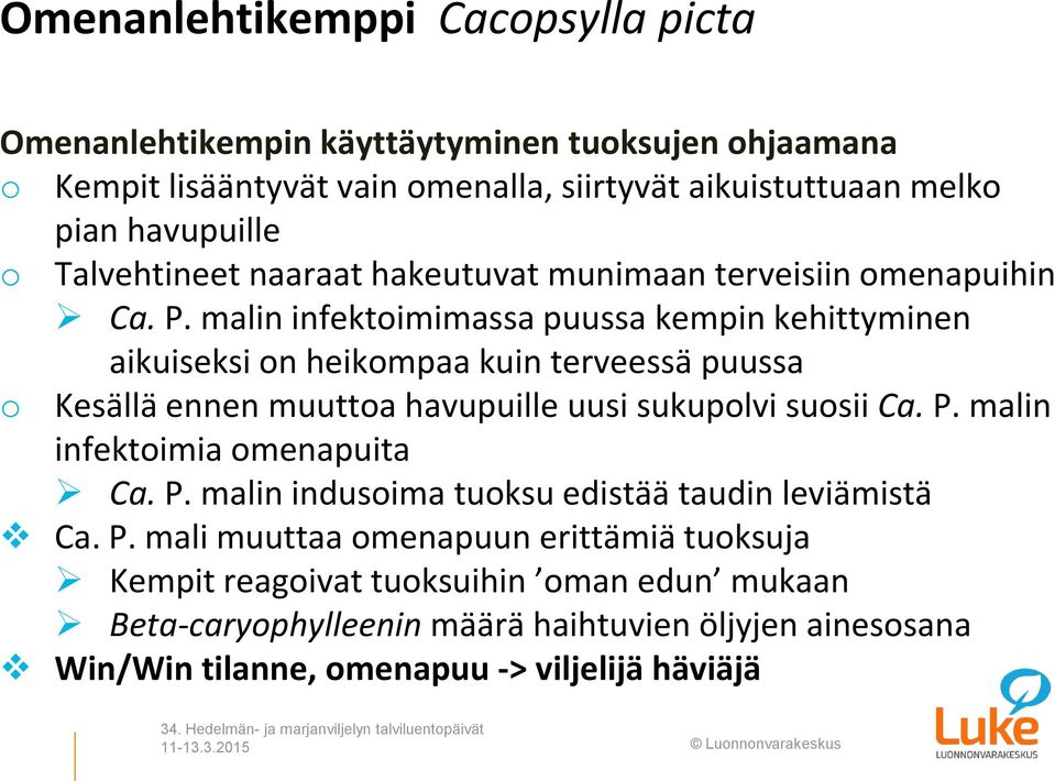 malin infektoimimassa puussa kempin kehittyminen aikuiseksi on heikompaa kuin terveessä puussa o Kesällä ennen muuttoa havupuille uusi sukupolvi suosii Ca. P.