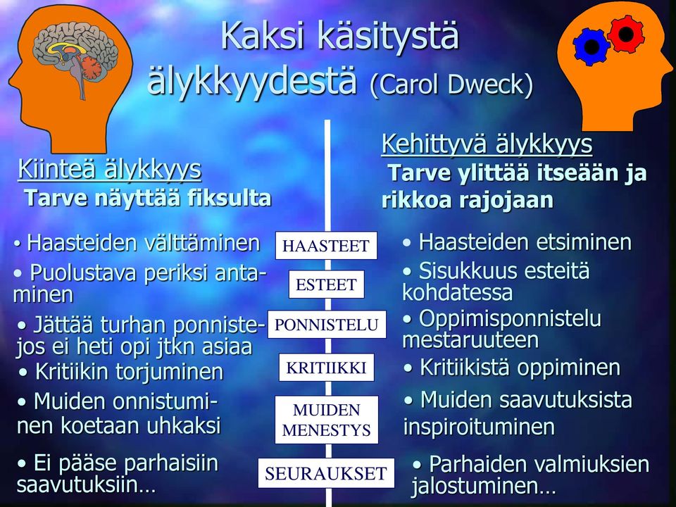 MENESTYS Kehittyvä älykkyys Tarve ylittää itseään ja rikkoa rajojaan Haasteiden etsiminen Sisukkuus esteitä kohdatessa Oppimisponnistelu