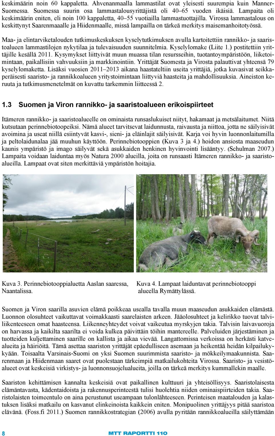 Virossa lammastalous on keskittynyt Saarenmaaalle ja Hiidenmaalle, missä lampailla on tärkeä merkitys maisemanhoitotyössä.