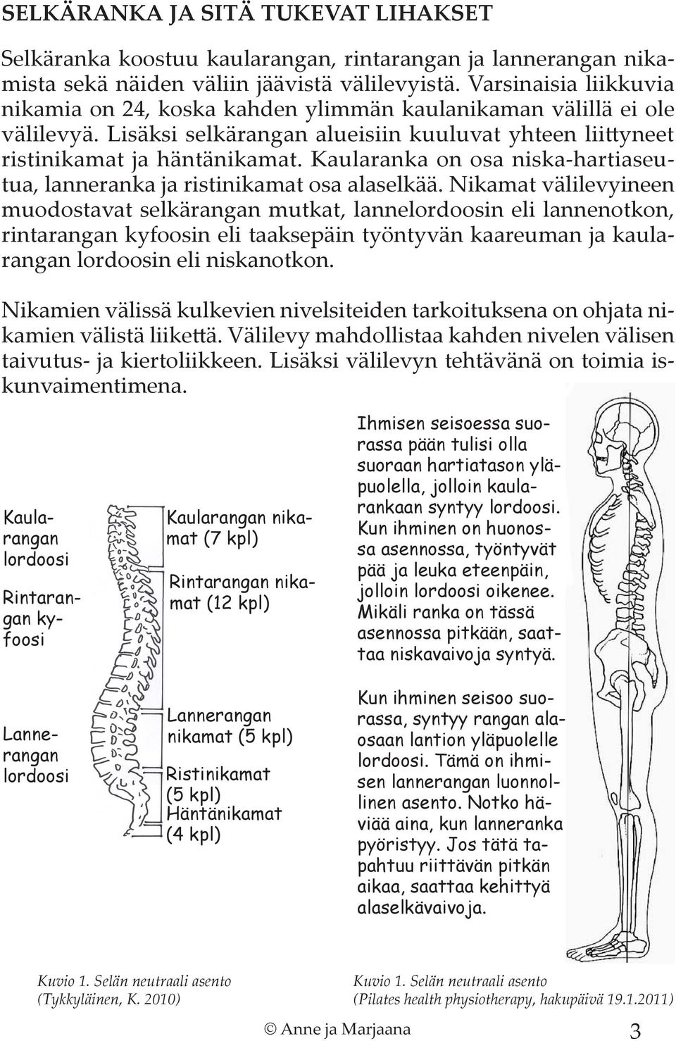 Kaularanka on osa niska-hartiaseutua, lanneranka ja ristinikamat osa alaselkää.