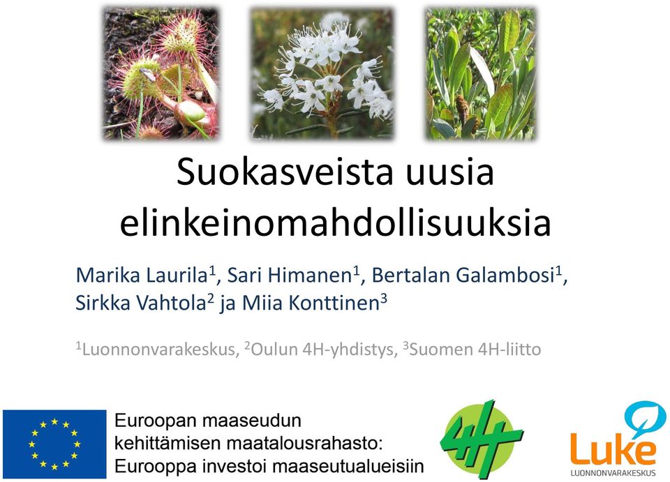 Galambosi 1, Sirkka Vahtola 2 ja Miia Konttinen 3