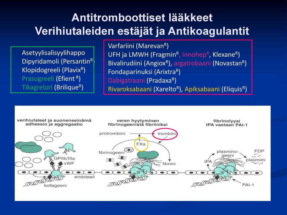 (Marevan R ) UFH ja LMWH (Fragmin R, Innohep R, Klexane R ) Bivalirudiini (Angiox R ), argatrobaani